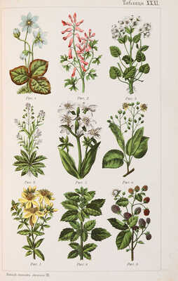 Платен М. Новый способ лечения. Лечение целебными силами природы. [В 4-х томах]. Т. 1-4. СПб., [1902-1909].